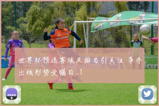 世界杯预选赛埃及排名引关注 争夺出线形势受瞩目_1